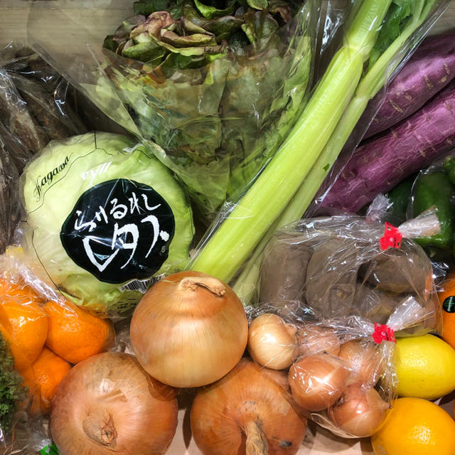 野菜盛り合わせ　GALO様専用 食品/飲料/酒の食品(野菜)の商品写真