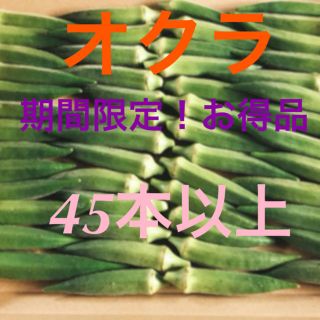 朝採りオクラ(野菜)