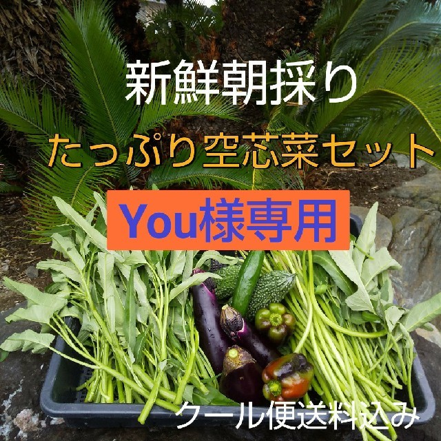 野菜箱詰め【野菜おまかせ♪野菜おためし】新鮮朝採り空芯菜増量セット★当日発送 食品/飲料/酒の食品(野菜)の商品写真