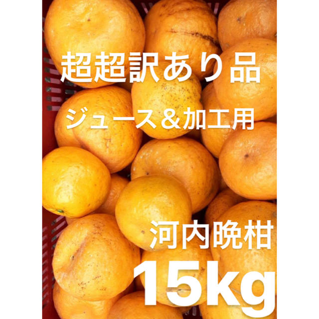 超超訳あり品　愛媛　宇和ゴールド15Kg 河内晩柑　ジュース用 食品/飲料/酒の食品(フルーツ)の商品写真