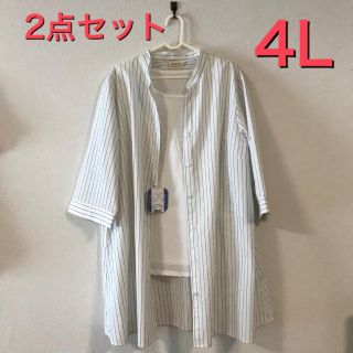 新品 レディース 大きいサイズ アンサンブル 4L(アンサンブル)