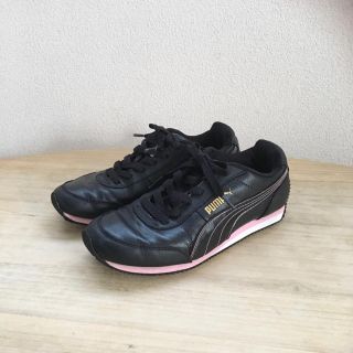 プーマ(PUMA)のPUMA スニーカー　23.5cm(スニーカー)