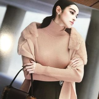 フォクシー(FOXEY)のフォクシー　ヌートリアファーストール　ルネ　CHANEL　エルメス　ドゥロワー(マフラー/ショール)