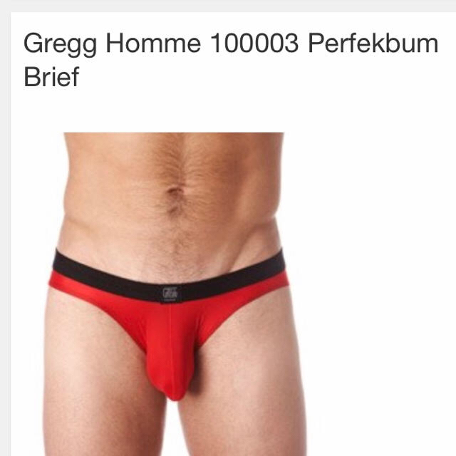 gregg homme ビキニ2枚組サイズL メンズのアンダーウェア(その他)の商品写真