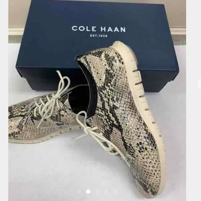 Cole Haan(コールハーン)の《新品》☆COLE  HAAN☆ パイソン　ZEROGRAND OXII 6.5 レディースの靴/シューズ(スニーカー)の商品写真