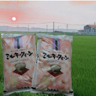 ミルキークイーン白米５キロ　令和２年産　新米(米/穀物)