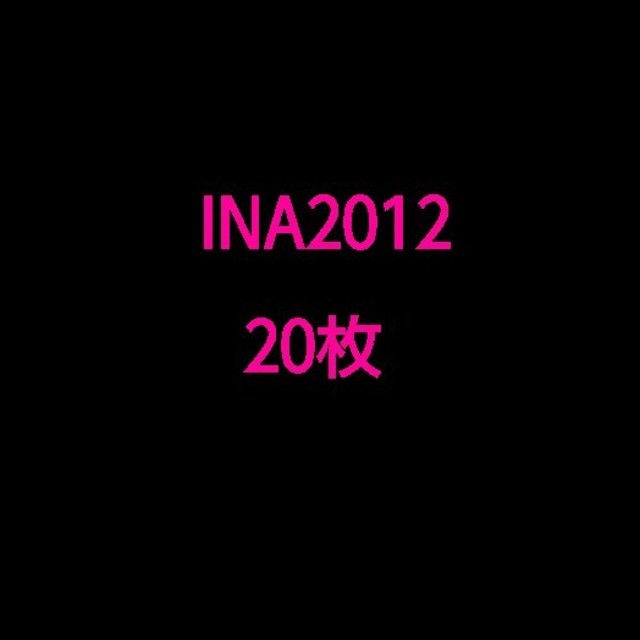 INA2012 30枚