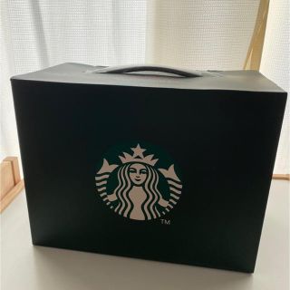 スターバックスコーヒー(Starbucks Coffee)のスターバックス スタバ レディーバッグ キャリーバッグ 韓国 限定(その他)