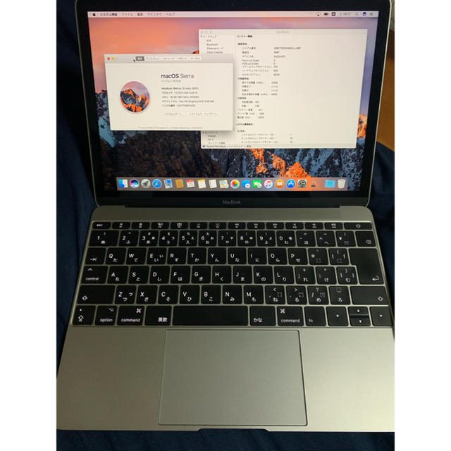 MacBook2018MacBook カスタマイズ（2017）1.3G/16G/512G