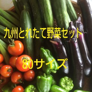 九州とれたて野菜セット(野菜)