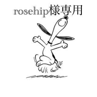 rosehip様専用(菓子/デザート)