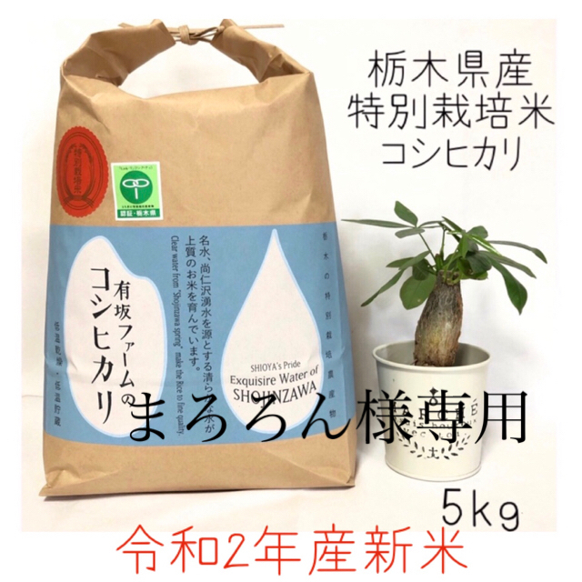 栃木県産特別栽培米コシヒカリ 白米5kg×3 米/穀物