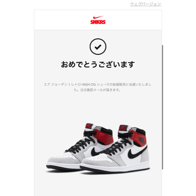 NIKE エアジョーダン1 SmokeGrey 28cm