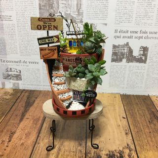 多肉植物の寄せ植え　Rock cafe(その他)