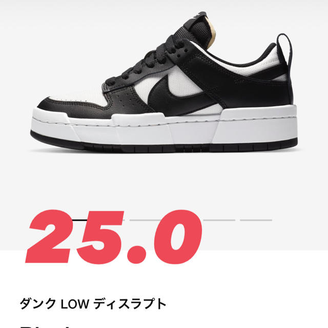 NIKE WMNS DUNK LOW DISRUPT靴/シューズ