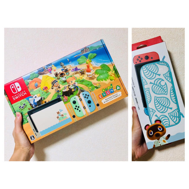 Nintendo Switch あつ森セット＆キャリングケース