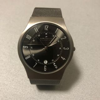 スカーゲン(SKAGEN)のSKAGEN 時計　スカーゲン(腕時計)