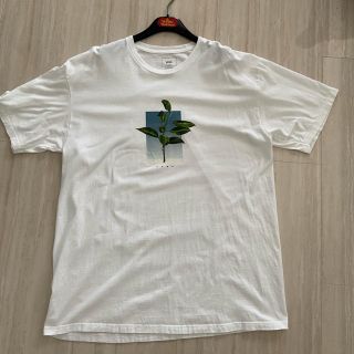 ヴァンズ(VANS)のVans Tシャツ / カットソー(Tシャツ/カットソー(半袖/袖なし))