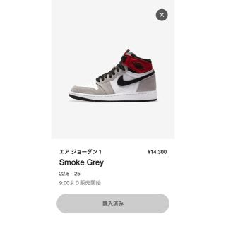 ナイキ(NIKE)のJORDAN 1  LIGHT SMOKE GREY 24 ナイキ　ジョーダン1(スニーカー)