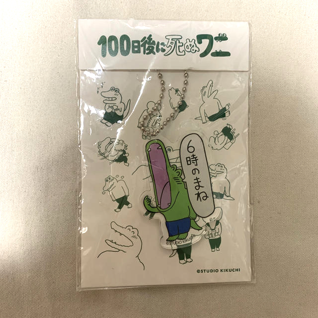 100日後に死ぬワニ エンタメ/ホビーのおもちゃ/ぬいぐるみ(キャラクターグッズ)の商品写真