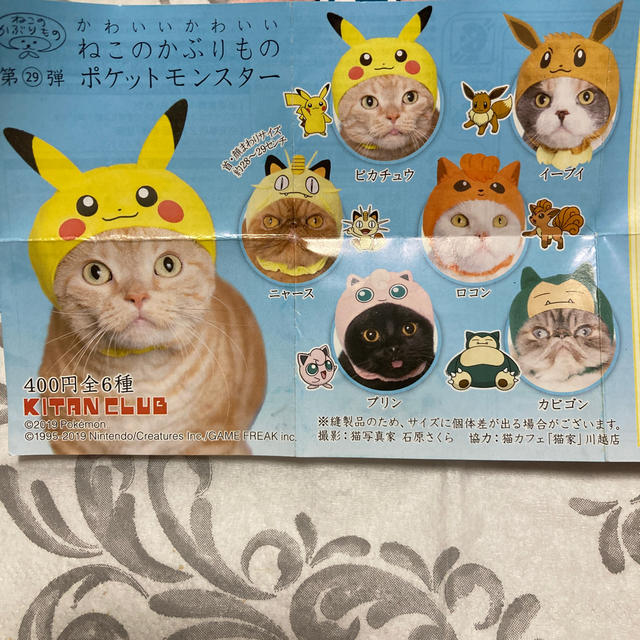 ポケモン(ポケモン)のねこのかぶりものポケモン　プリン その他のペット用品(猫)の商品写真