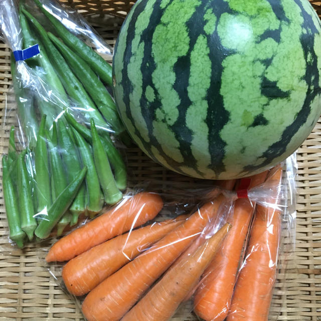 自然農法お野菜セット　野菜