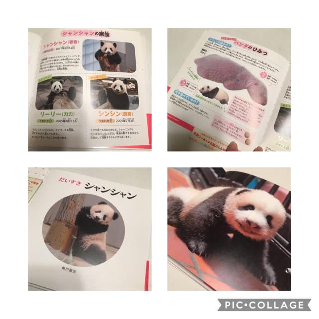 シャンシャン祝1歳 アドベンチャーワールドのこパンダ 二冊の通販 By ドバイ ラクマ シャンシャン祝1歳 アドベンチャーワールドのこパンダ 二冊の通販 By ドバイ ラクマ