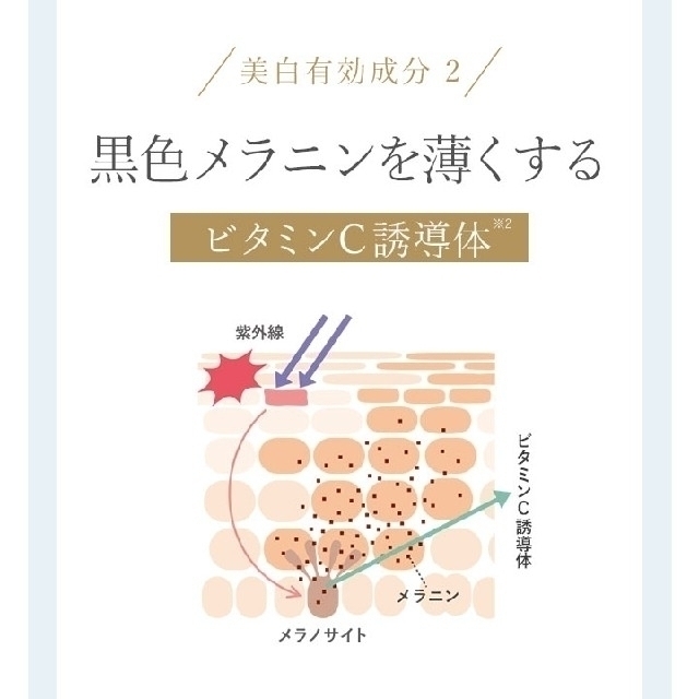 草花木果(ソウカモッカ)の♥野いちご様専用です♥新品未開封♥ 草花木果　美白日中用美容液 メイク下地 コスメ/美容のベースメイク/化粧品(化粧下地)の商品写真