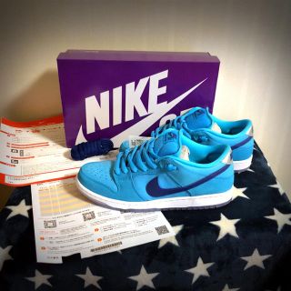 ナイキ(NIKE)のNIKE SB DUNK LOW PRO ダンクロー　未使用(スニーカー)