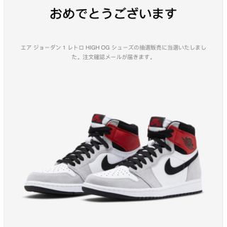 ナイキ(NIKE)のNIKE AJ1 Smoke Grey 25.5cm Air Jordan 1(スニーカー)