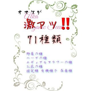 選べる71種類‼️ 野菜の種 ハーブの種 固定種 有機種子 エディブルフラワー(その他)