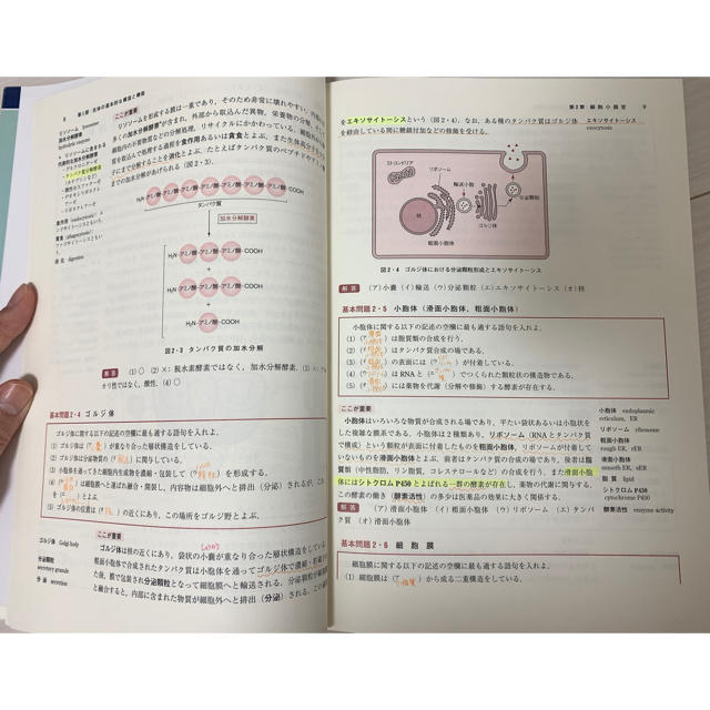 薬学の基礎としての生物学 薬学部 参考書 生物 エンタメ/ホビーの本(科学/技術)の商品写真