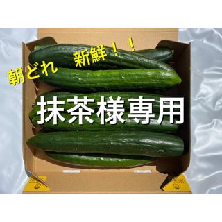 朝どれきゅうり　宮崎県産　訳あり(野菜)