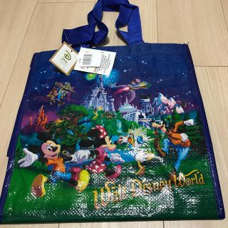 ディズニー(Disney)のディズニーワールド　ビニールバッグ　ギフトバッグ(エコバッグ)