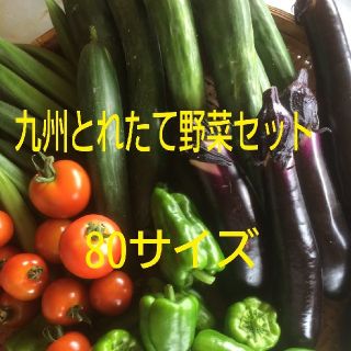 九州とれたて野菜セット(野菜)