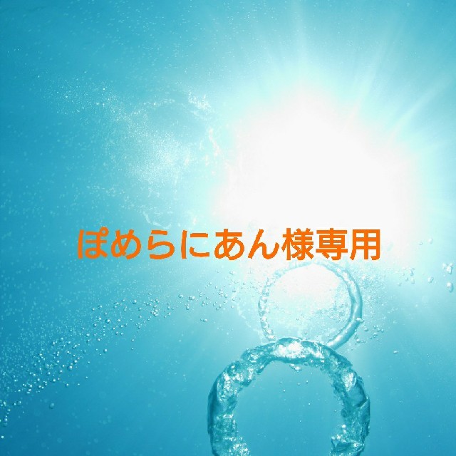 貴和製作所(キワセイサクジョ)のぽめらにあん様専用 ハンドメイドの素材/材料(各種パーツ)の商品写真