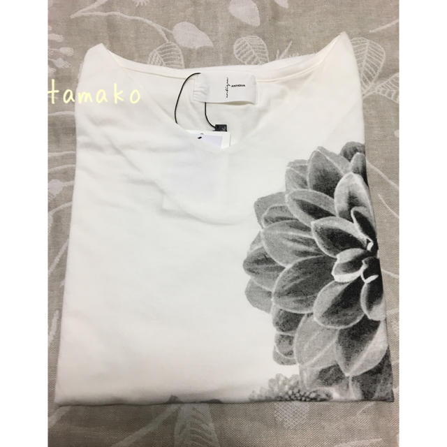 antiqua(アンティカ)のアンティカ ダリア 花柄 トップス Ｔシャツ レディースのトップス(Tシャツ(半袖/袖なし))の商品写真