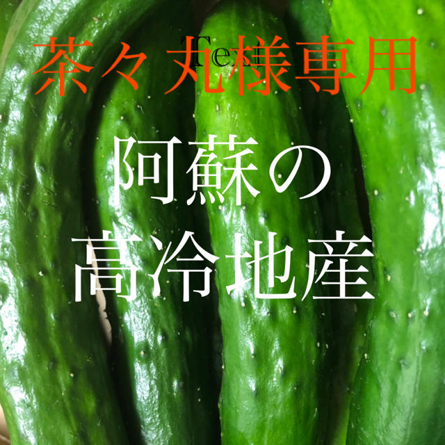 茶々丸様専用　阿蘇のきゅうり1.5kg 予約分 食品/飲料/酒の食品(野菜)の商品写真