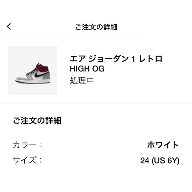 JORDAN 1  LIGHT SMOKE GREY 24 ナイキ　ジョーダン1