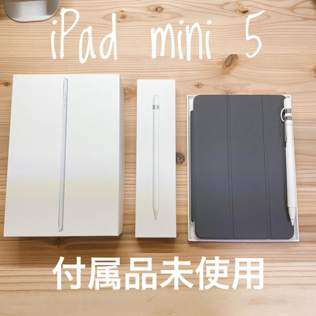 iPad mini 5 セット64GB状態