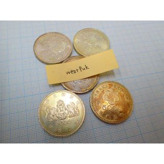 五千円銀貨　5000円　記念硬貨　5枚　25000円分(貨幣)