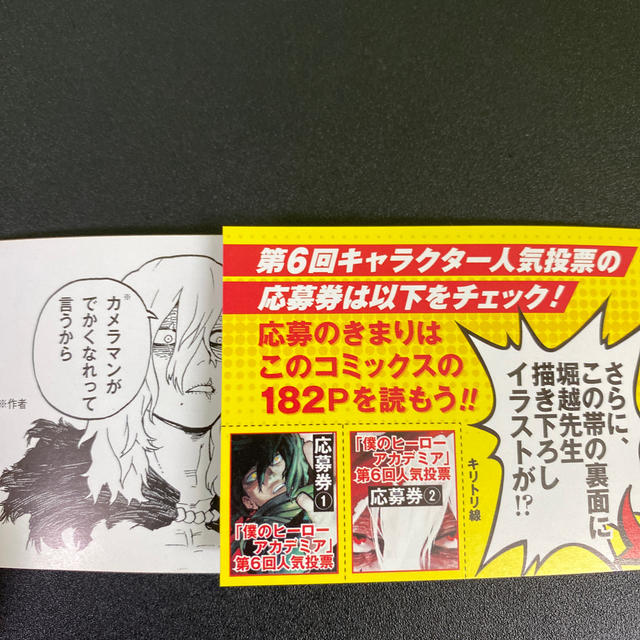 50枚おまけ付き　ヒロアカ　投票券　ジャンプ　応募券