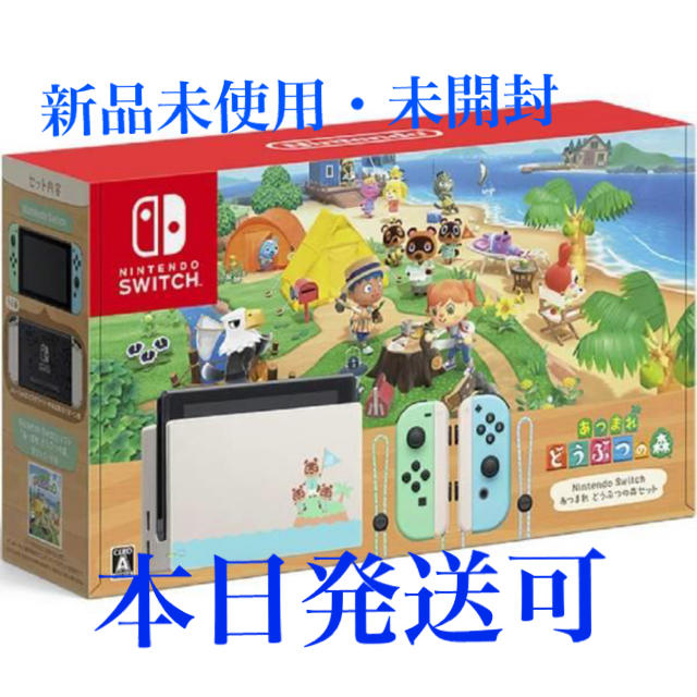 あつまれどうぶつの森セットSwitch