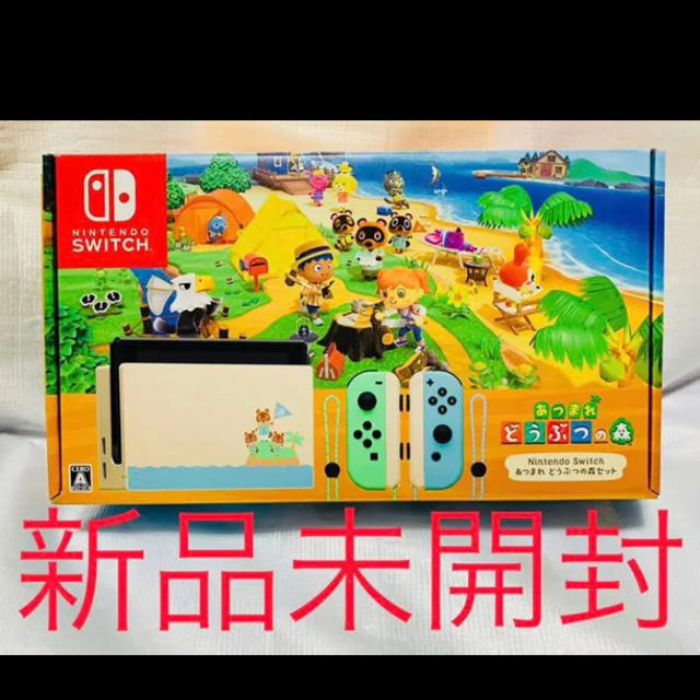 Nintendo Switch あつまれ どうぶつの森セット 新品スイッチ