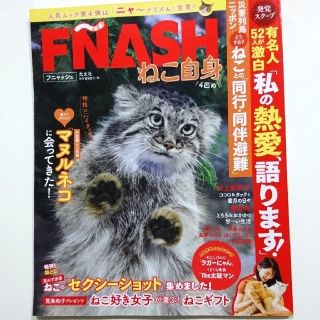 コウブンシャ(光文社)の「ＦＮＡＳＨ　ねこ自身４匹め」フニャッシュ(住まい/暮らし/子育て)