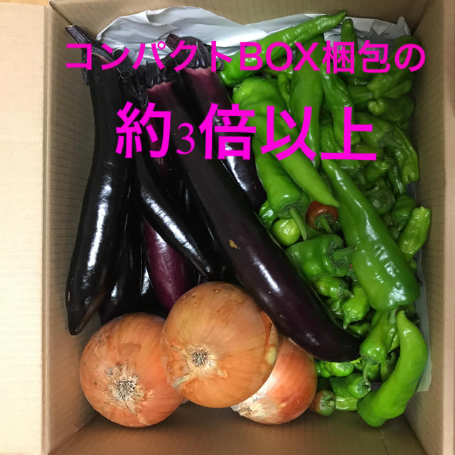 野菜詰め合わせ 無農薬４キロ 食品/飲料/酒の食品(野菜)の商品写真