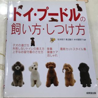 トイ・プ－ドルの飼い方・しつけ方(住まい/暮らし/子育て)