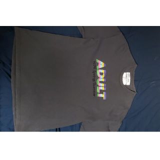 サンシー(SUNSEA)の最終値下げ　dairiku 19ss　Tシャツ　グレー(Tシャツ/カットソー(半袖/袖なし))