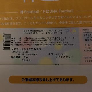 ９月１３日ベガルタ仙台ＶS大分トリニータ自由席南二枚セット(サッカー)