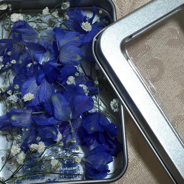 ドライフラワー　青色の花 ハンドメイドのフラワー/ガーデン(ドライフラワー)の商品写真